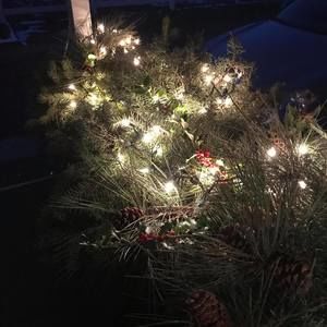 Meet your Posher, Robin